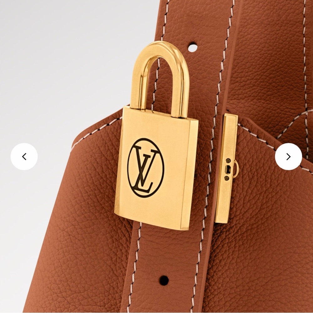 Louis Vuitton Cognac Low Key Hobo PM - Picture 2 of 14